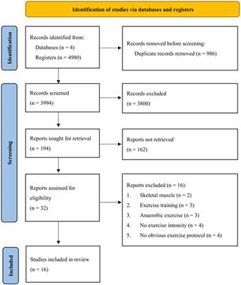 DNA oxidation after exercise: a systematic review and meta-analysis